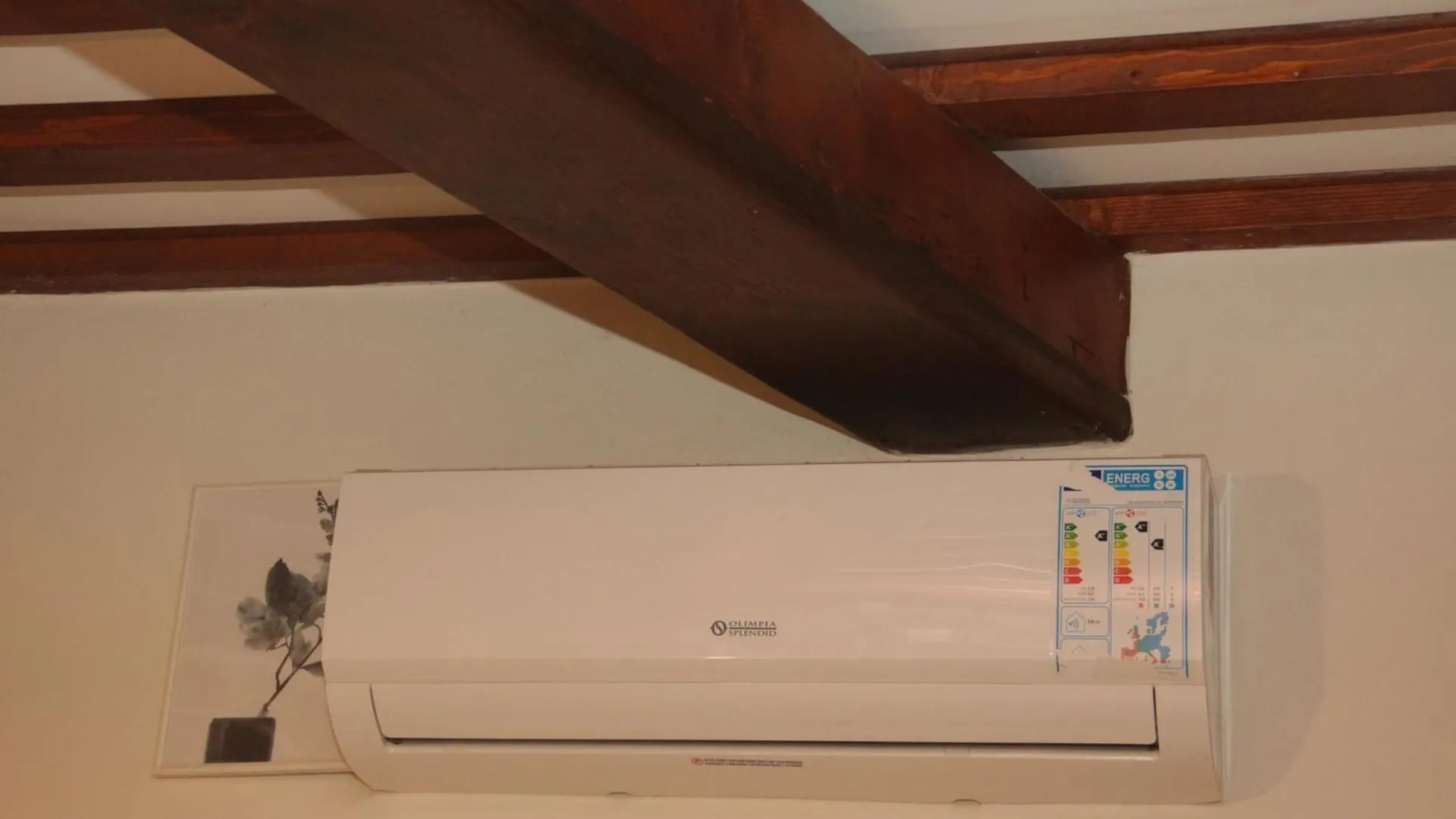 Apartment Grazioso Appartamento Pisa Sull'Arno
